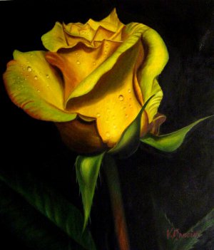 Famous paintings of Florals: A Perfect Yellow Rose