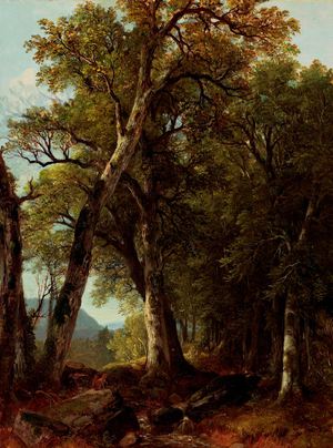 Reproduction oil paintings - Asher Brown Durand - Through the Woods