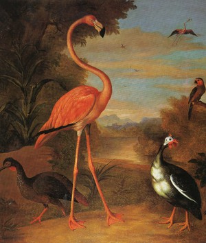 Famous paintings of Animals: A Flamingo, Peahen and Parakeet in an Exotic River Landscape
