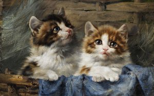 Reproduction oil paintings - Julius Adam - Two Kittens