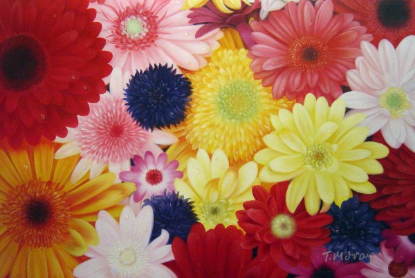 A Burst Of Color. The painting by Our Originals