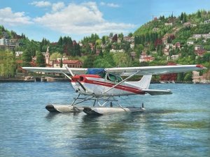 Our Originals, A Coastal Village with Seaplane, Painting on canvas
