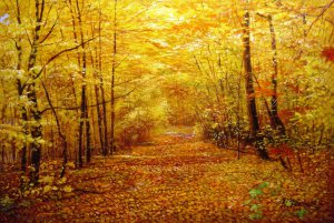 Famous paintings of Landscapes: A Gorgeous Display Of Fall Foliage In The Forest