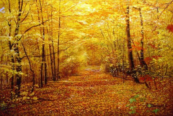 A Gorgeous Display Of Fall Foliage In The Forest. The painting by Our Originals