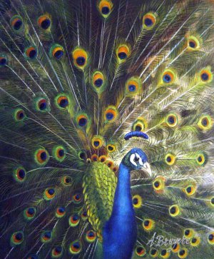 Reproduction oil paintings - Our Originals - A Magnificent Peacock