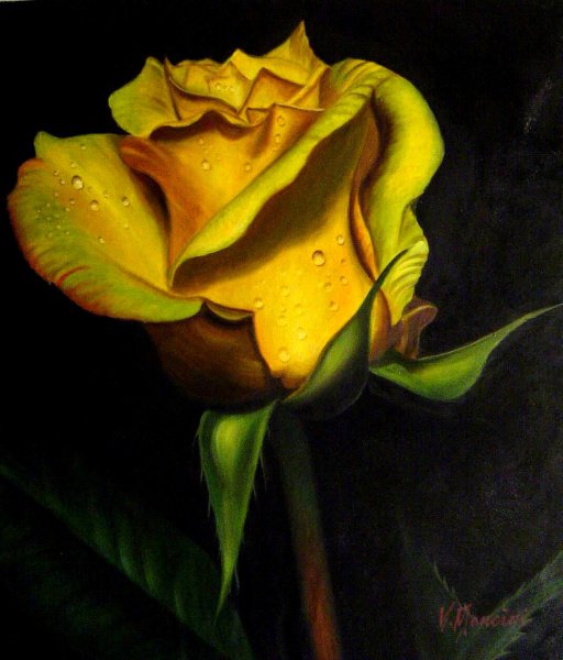 A Perfect Yellow Rose. The painting by Our Originals