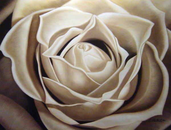 A Taupe Beige Rose. The painting by Our Originals