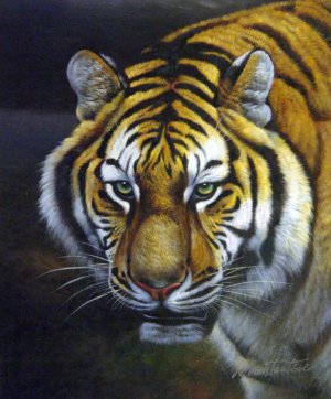 Our Originals, A Tiger Stare, Painting on canvas