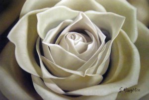 Famous paintings of Florals: A White Sepia Rose