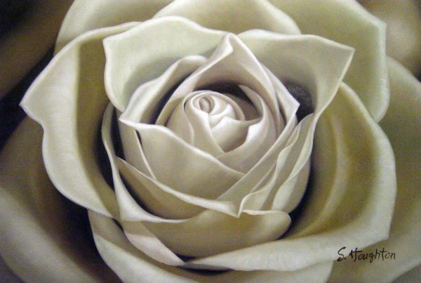 A White Sepia Rose. The painting by Our Originals