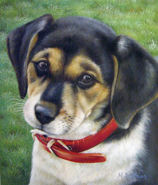 Adorable Beagle. The painting by Our Originals