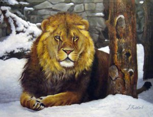 African Lion In The Snow, Our Originals, Art Paintings