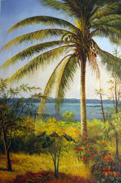 Palm Tree, Nassau. The painting by Albert Bierstadt
