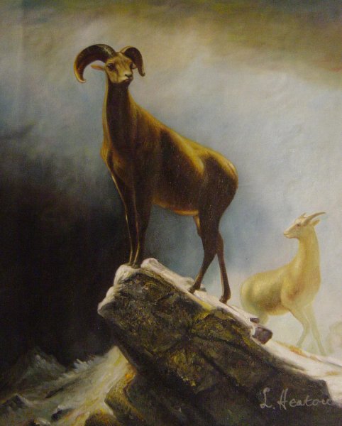 Rocky Mountain Sheep. The painting by Albert Bierstadt