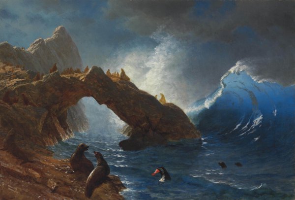 Seals on the Rocks. The painting by Albert Bierstadt