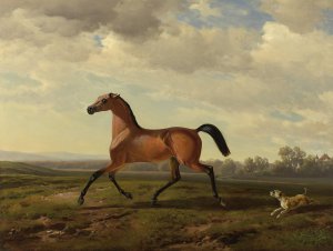 Famous paintings of Horses-Equestrian: An Arab Thoroughbred at Schloss Blutenburg