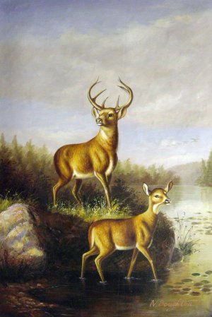 Buck And Doe, Arthur Fitzwilliam Tait, Art Paintings