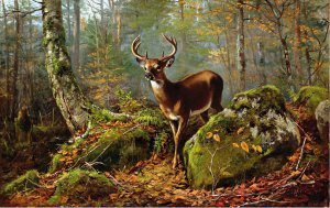 Arthur Fitzwilliam Tait, Buck in the Forest, Painting on canvas
