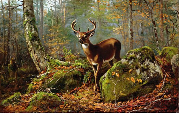 Buck in the Forest. The painting by Arthur Fitzwilliam Tait