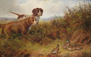 Reproduction oil paintings - Arthur Fitzwilliam Tait - On Point