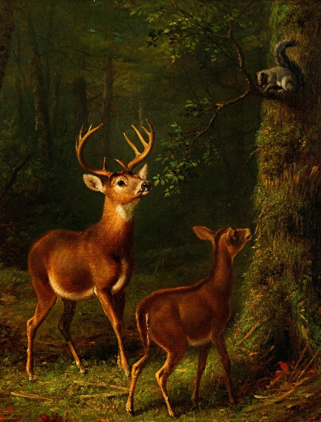 The Forest, Adirondacks. The painting by Arthur Fitzwilliam Tait