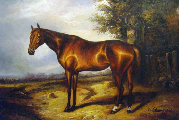 Thoroughbred. The painting by Arthur Fitzwilliam Tait