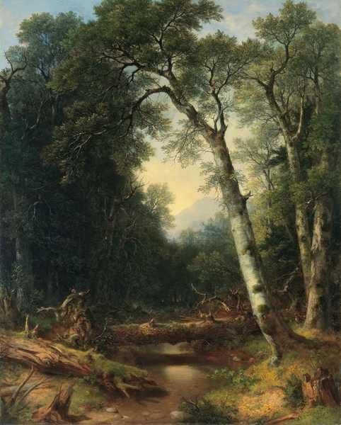 A Creek in the Woods. The painting by Asher Brown Durand