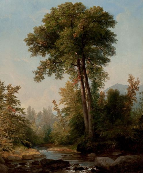 A Natural Monarch. The painting by Asher Brown Durand