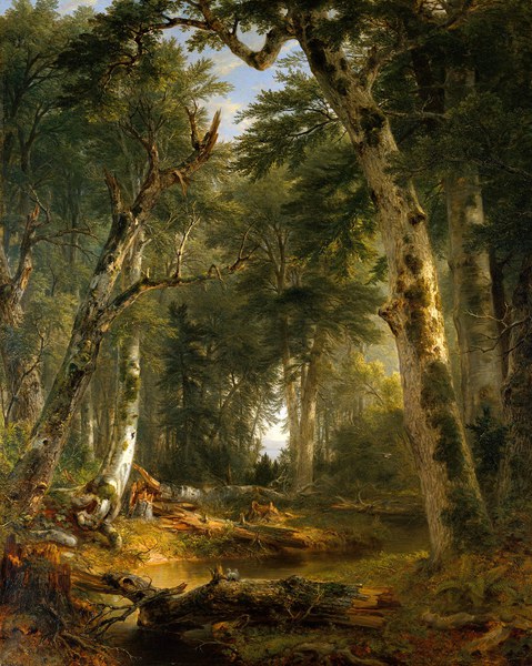 In the Woods. The painting by Asher Brown Durand
