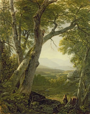 Reproduction oil paintings - Asher Brown Durand - Shandaken Ridge, Kingston, New York