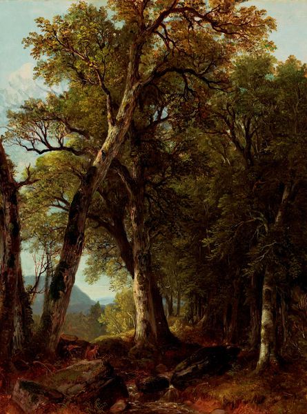 Through the Woods. The painting by Asher Brown Durand