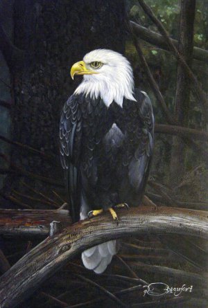 Our Originals, Bald Eagle, Painting on canvas