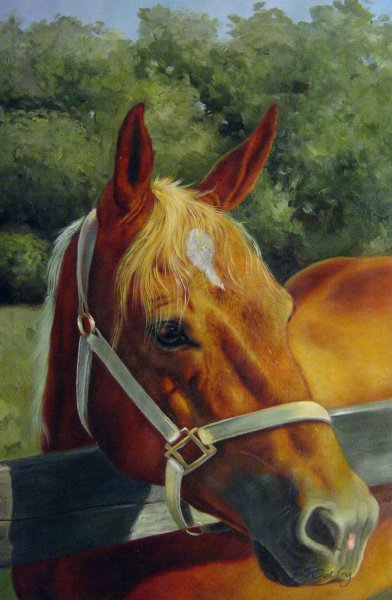 Beautiful Horse. The painting by Our Originals