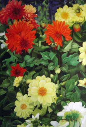 Famous paintings of Florals: Beautiful Mum Garden