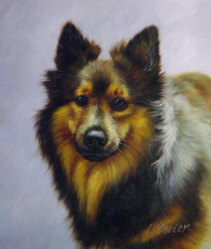 Our Originals, Beautiful Sheltie, Painting on canvas