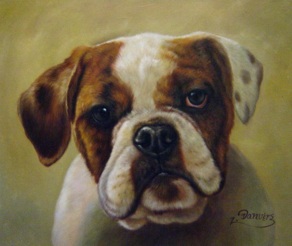Bull Dog Puppy. The painting by Our Originals