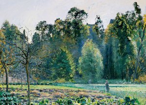 Camille Pissarro, Le champ de Chou, Pontoise, Painting on canvas