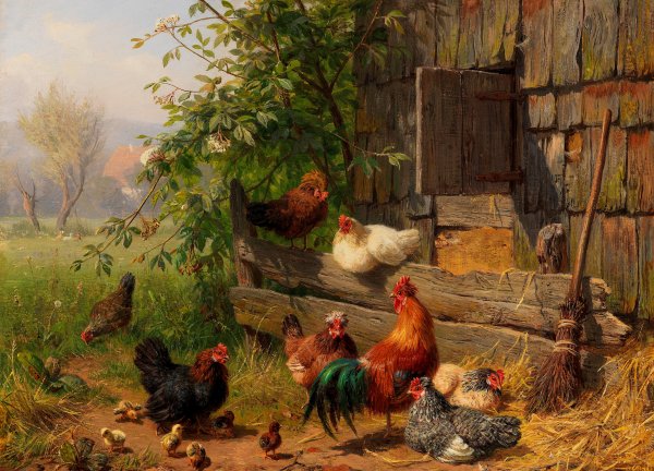 A Chicken Run. The painting by Carl Jutz