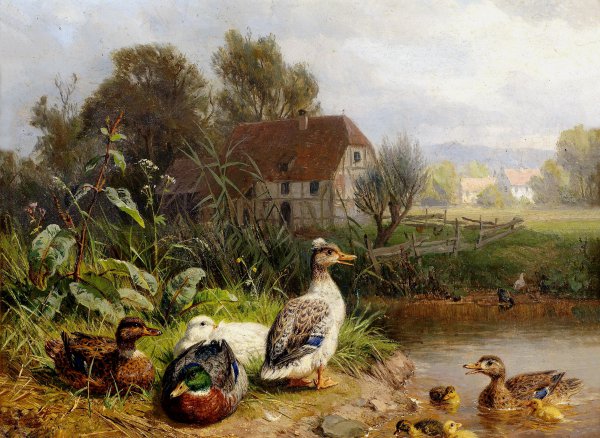 Ducks on the Pond. The painting by Carl Jutz