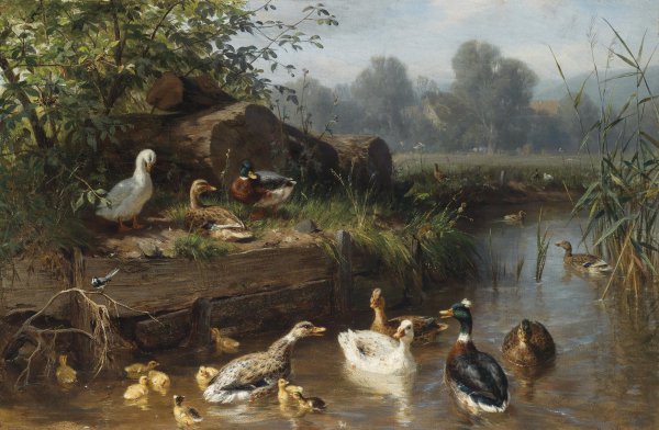 Ducks on the River . The painting by Carl Jutz