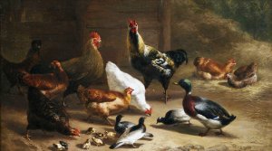 Reproduction oil paintings - Carl Jutz - Poultry in the Stable