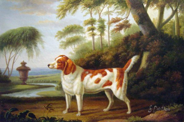 A Welsh Springer Spaniel. The painting by Charles Towne