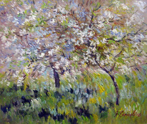 Apple Trees In Bloom At Giverny. The painting by Claude Monet
