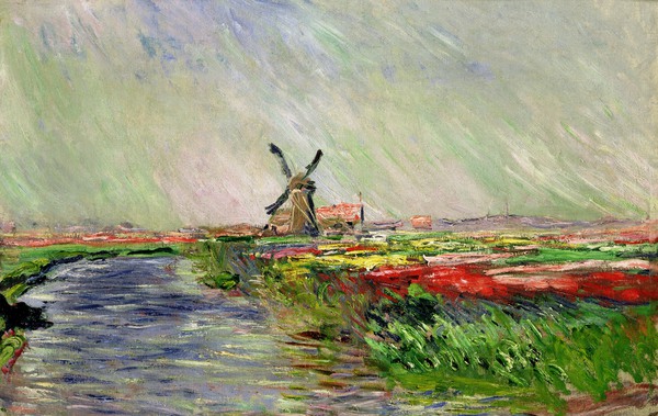 Tulip Field in Holland. The painting by Claude Monet