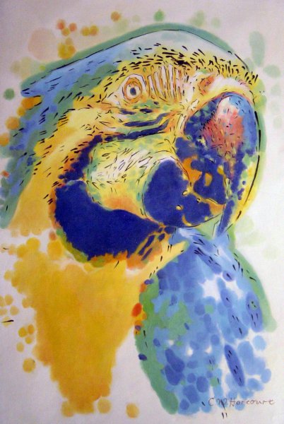Colorful Macaw. The painting by Our Originals
