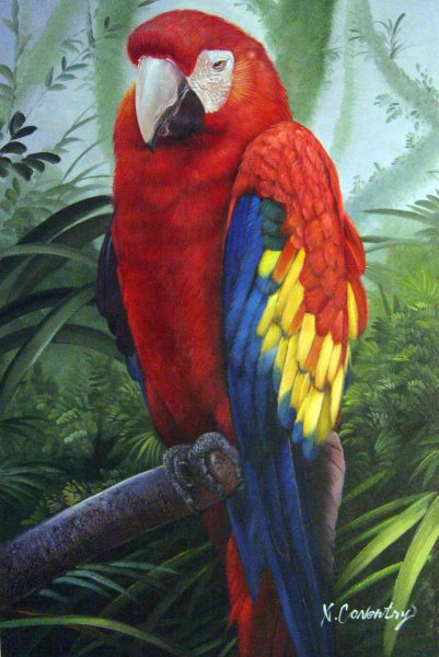 Colorful Parrot. The painting by Our Originals