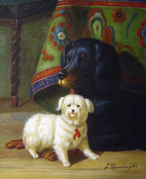 Gordon Setter & Maltese. The painting by Conradyn Cunaeus