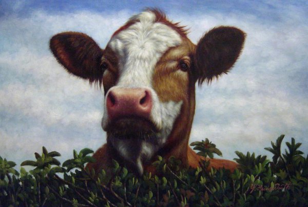 Cow Looking Over The Hedge. The painting by Our Originals