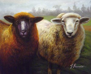Our Originals, Curious Sheep, Painting on canvas