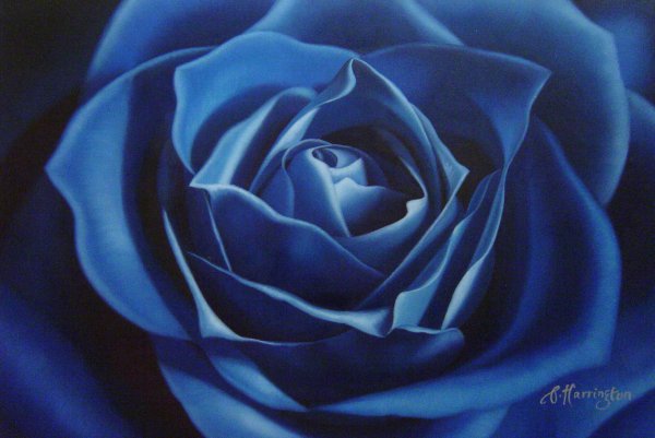 Deep Blue Rose. The painting by Our Originals